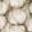 Color: Natural Ivory