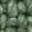 Color: Speckled Green