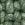 Color: Speckled Green
