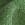 Color: Clover Green, Performance Fabric