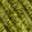 Color: Cypress Green