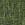 Color: Hemlock Green