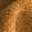 Color: Hestia Ginger, Performance Fabric