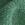 Color: Valor Green