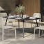 The Ballo x Sarek Dining Bundle - Gallery View 1 of 7.