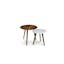 The Amoeba x Mara Side Table Bundle - Gallery View 1 of 6.