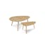 The Amoeba Coffee Table Bundle - Gallery View 1 of 6.