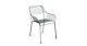 Caya Grasshopper Green Dining Armchair - Gallery View 1 of 10.