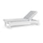 Eleya Outdoor Chaise Lounge Bundle - Gallery View 1 of 4.