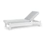 Eleya 78" Outdoor Chaise Lounge - Cera Gray
