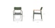 Elan Green Dining Chair - Gallery View 11 of 11.
