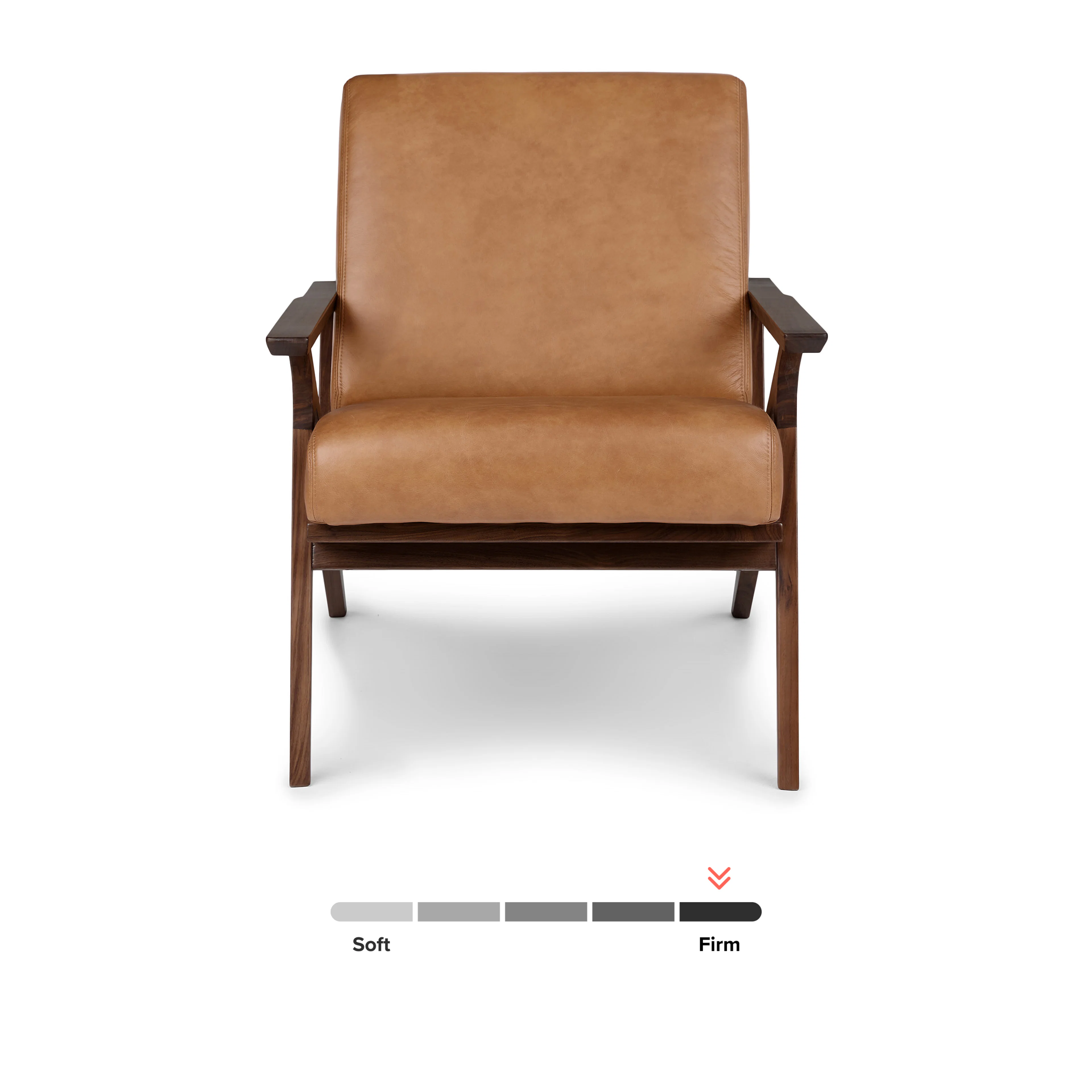 Otio 26" Leather Lounge Chair - Walnut and Toscana Tan