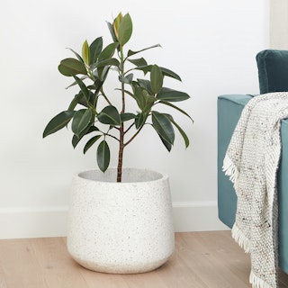 Tuva Indoor/Outdoor Wide Planter - White Terrazzo