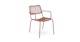 Manna Sonoma Red Dining Chair - Gallery View 1 of 11.