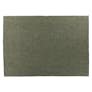 Texa 5 x 8 Rug - Speckled Green