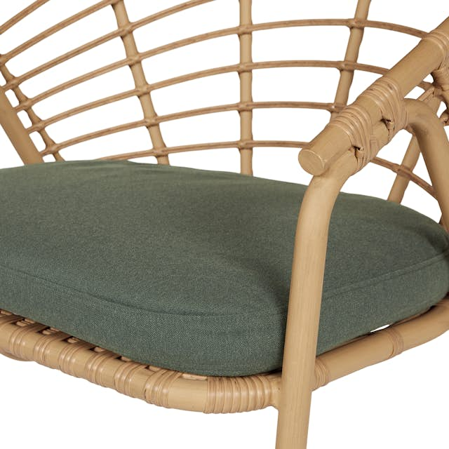 Dalarna Dravite Green Fabric & Faux Rattan Outdoor Lounge Chair | Article