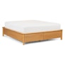 Pactera Queen Storage Bed - Oak