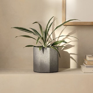 Kape Marbled Gray Small Indoor Planter
