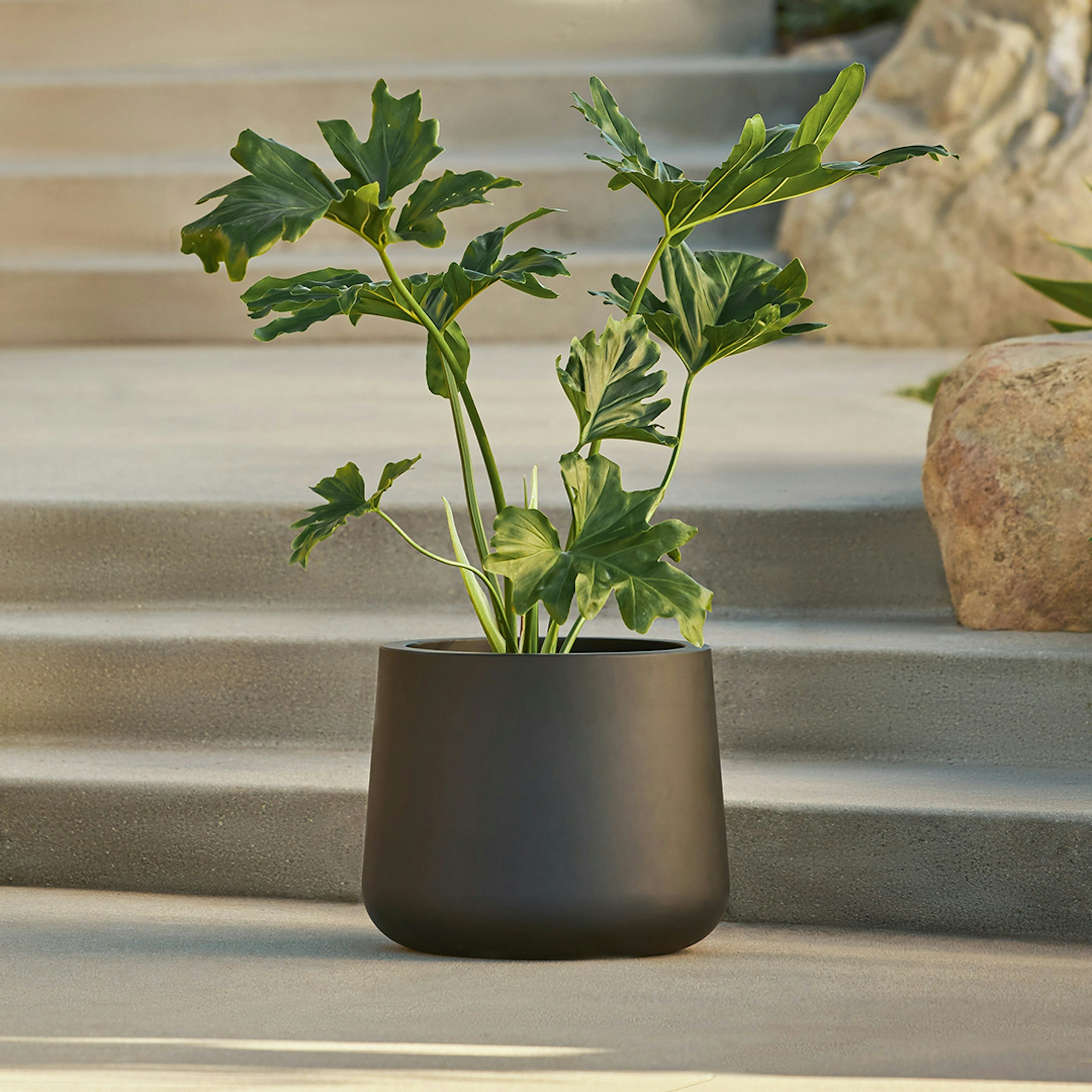 Tuva Black Cement Indoor & Outdoor Wide Planter | Article