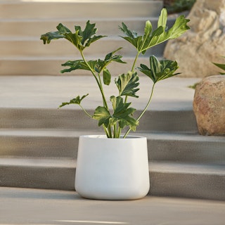 Tuva Indoor/Outdoor Wide Planter - White