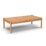 Rosa 47" Outdoor Coffee Table - Light Eucalyptus
