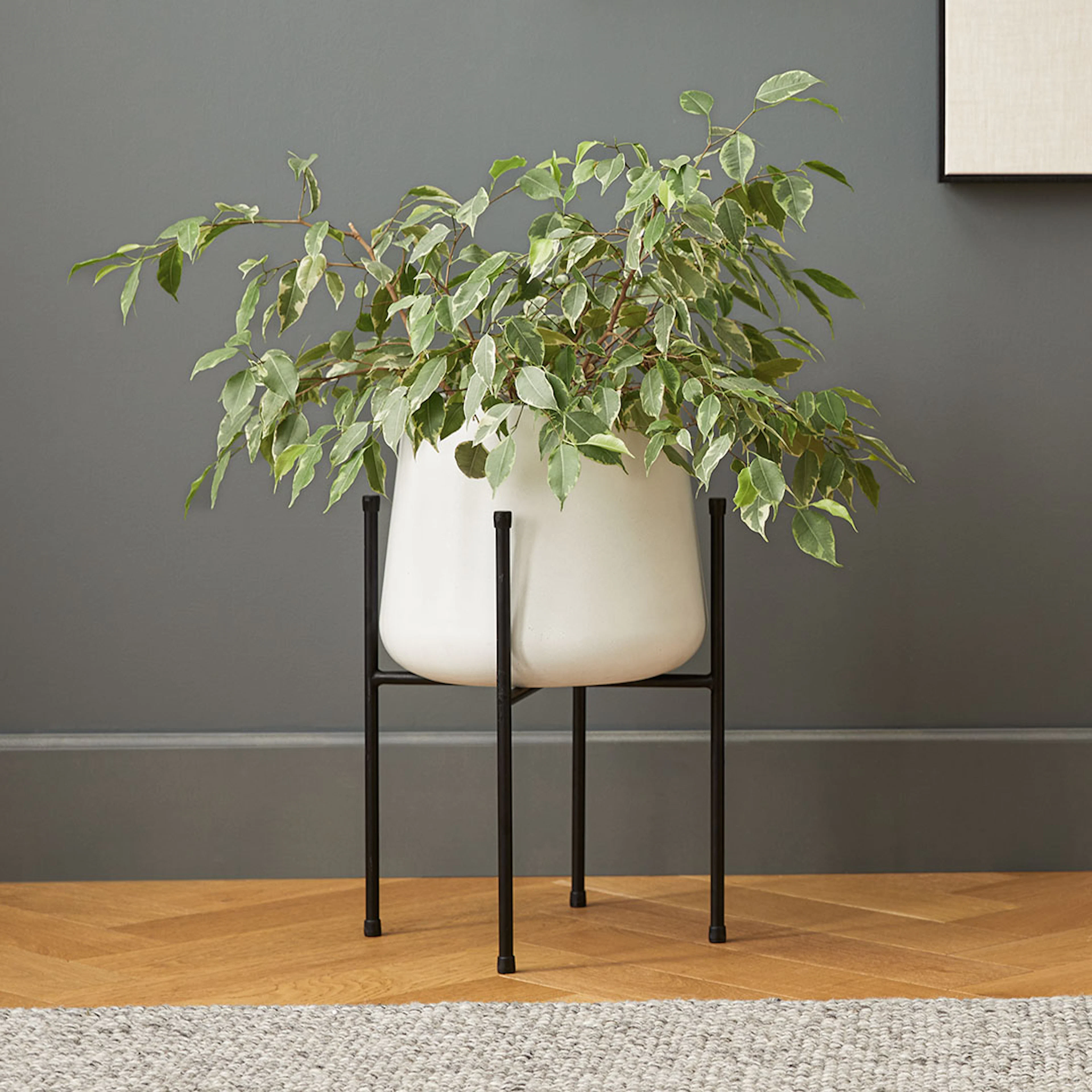 Tuva Narrow White Planter Set for Indoor/Outdoor Use