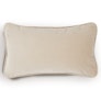 Lucca Velvet Small Pillow - Plush Pacific Taupe