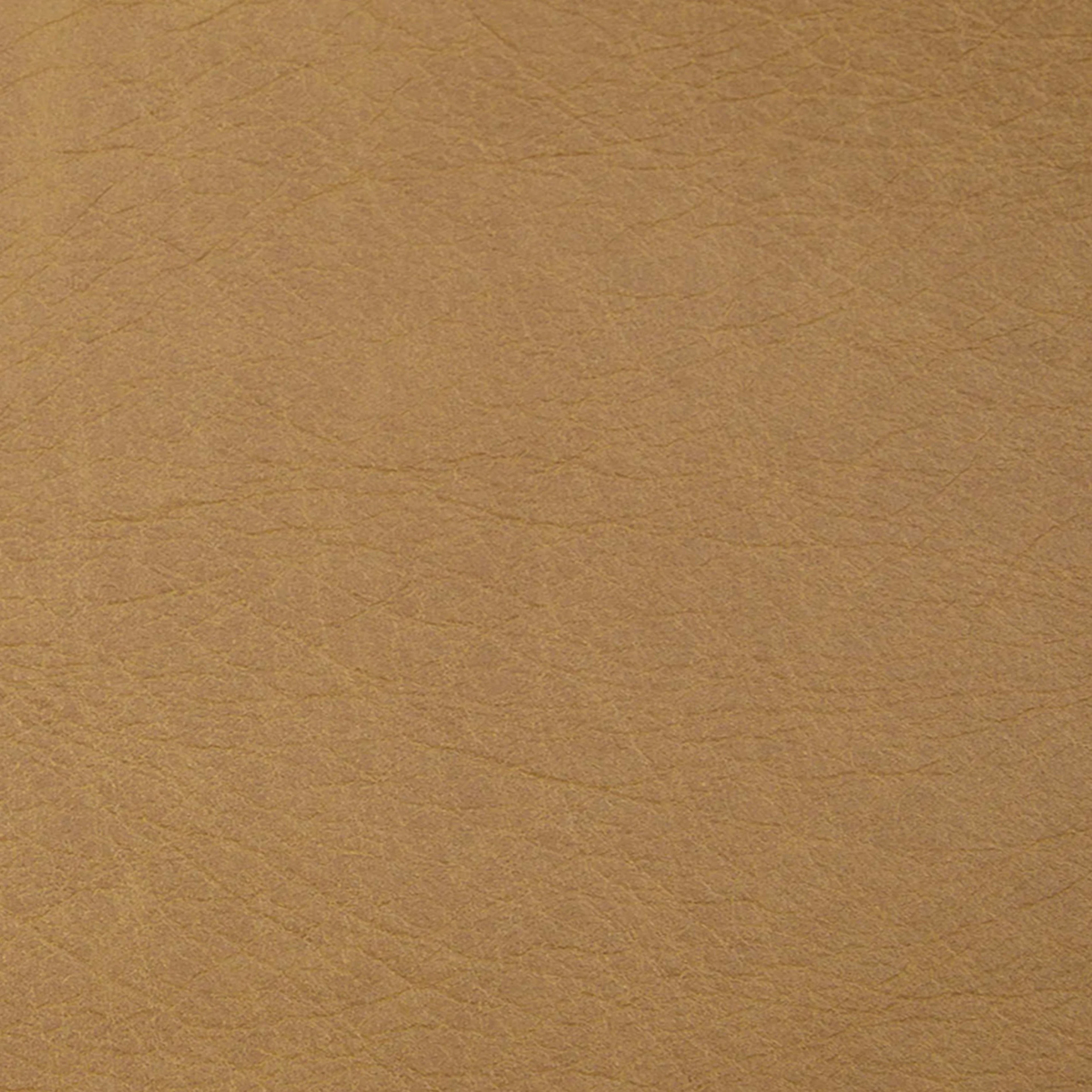 Timber 66.5" Charme Tan Leather Loveseat - Stylish Comfort