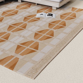 Velma 8 x 10 Indoor/Outdoor Rug - Terracotta