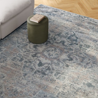 Buena 8 x 10 Rug - Traditional Blue