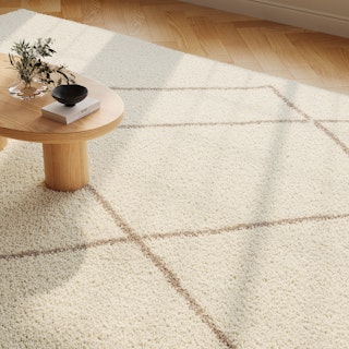 Dora 9 x 12 Rug - Textured Ivory