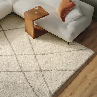 Dora 8 x 10 Rug - Textured Ivory
