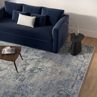 Buena 9 x 12 Rug - Traditional Blue