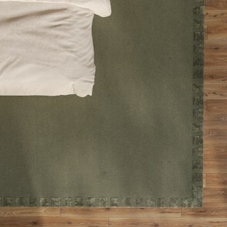 Eva 9 x 12 Rug - Forest Green
