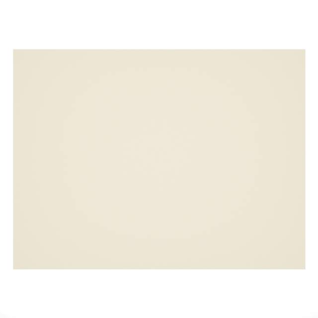 Stein Non-Slip Outdoor Rug Pad 9 x 12 | Article