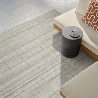 Erina 8 x 10 Indoor/Outdoor Rug - Textured Green