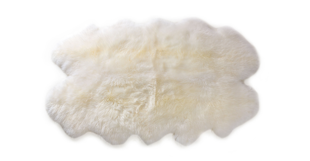 4x6 Ivory White Sheepskin Area Rug Lanna Article