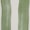 Color: Kin Green