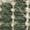 Color: Woodland Green