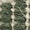 Color: Woodland Green