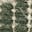 Color: Woodland Green
