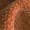 Color: Hestia Caramel