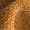 Color: Hestia Ginger and White Oak