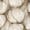 Color: Natural Ivory